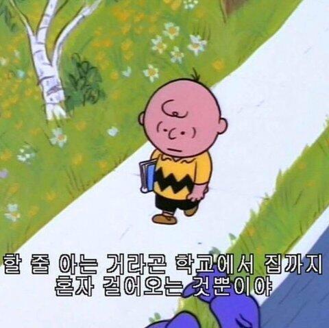 제 심장이 녹았습니다 빵꾸똥꾸 할 줄 아는거라곤 학교에서 집까지 걸어오는 것뿐이야
