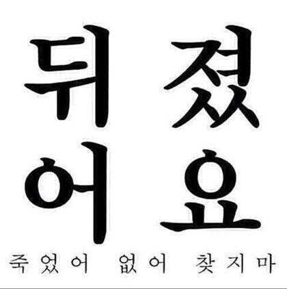 고양이 토끼 뒤졌어요