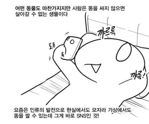레바 햝쨕