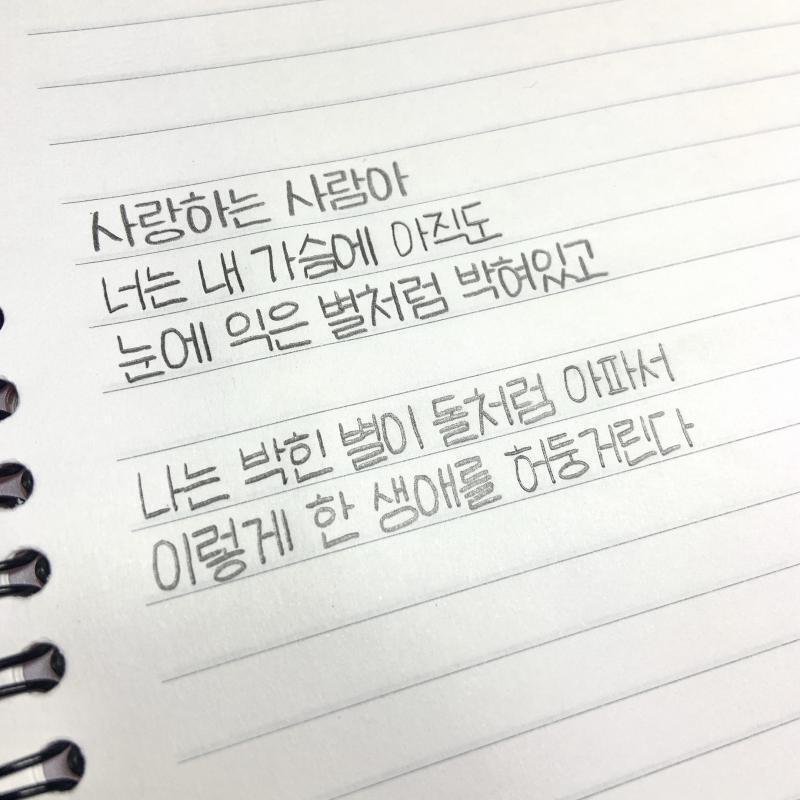 너무너무너무너무 좋아하는 시 구절 - 문정희