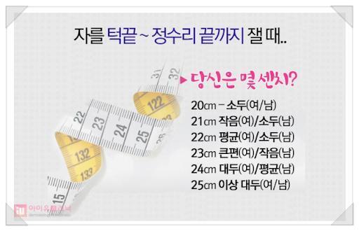 평균 머리 크기와 등신