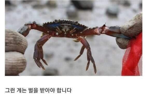 근데 솔직히 민초 취존 안하는 사람들도 이해는 가는게
