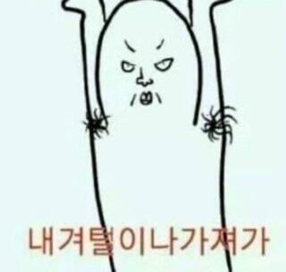 >>5 히~