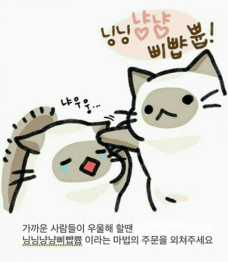 귀여워