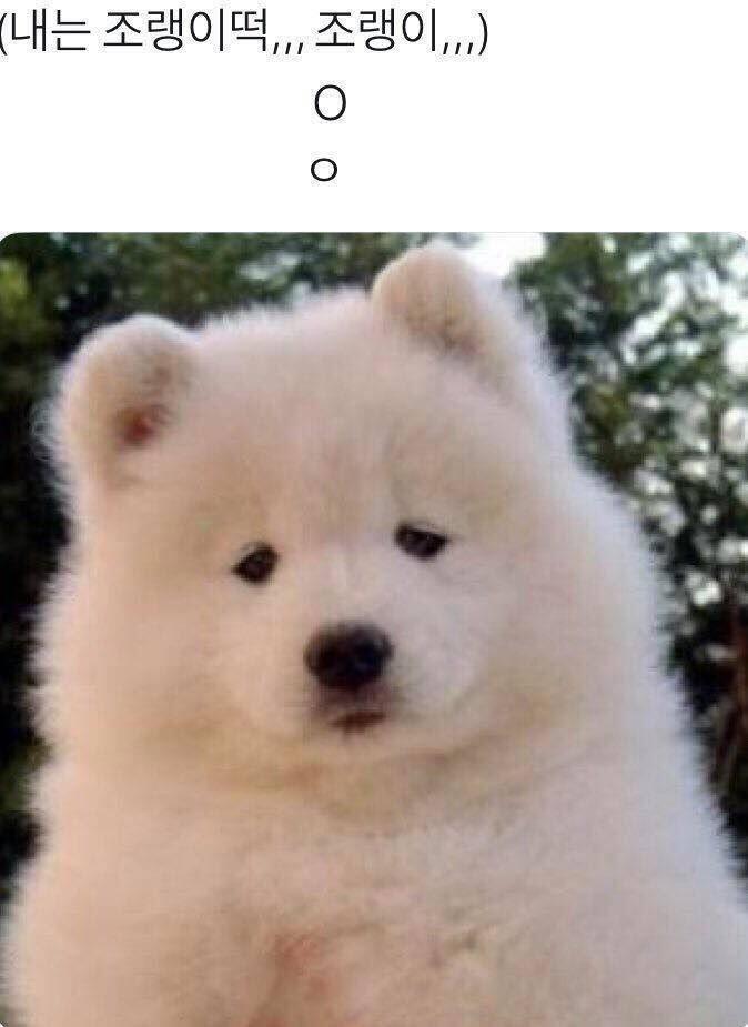 아씨 더 귀여워 진짜
