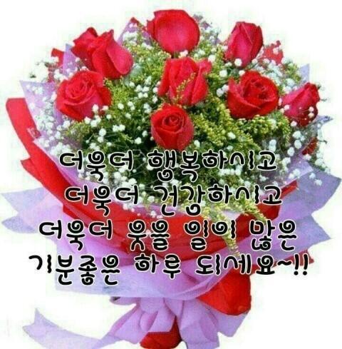 모두들.너무.따뜻하게 소통하셔서~^^,,; 아들램이.보내준. 장미 한송이. 놓고.갑니다,,^^; @))------- 모두들.좋은 하루.보내세요~