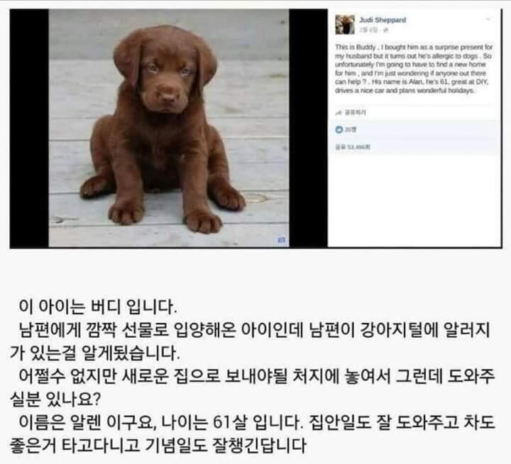 개욱겨 ㅋㅋㅋㅋㅋㅋㅋ