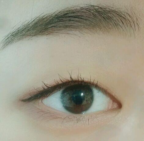 비교사진이야
