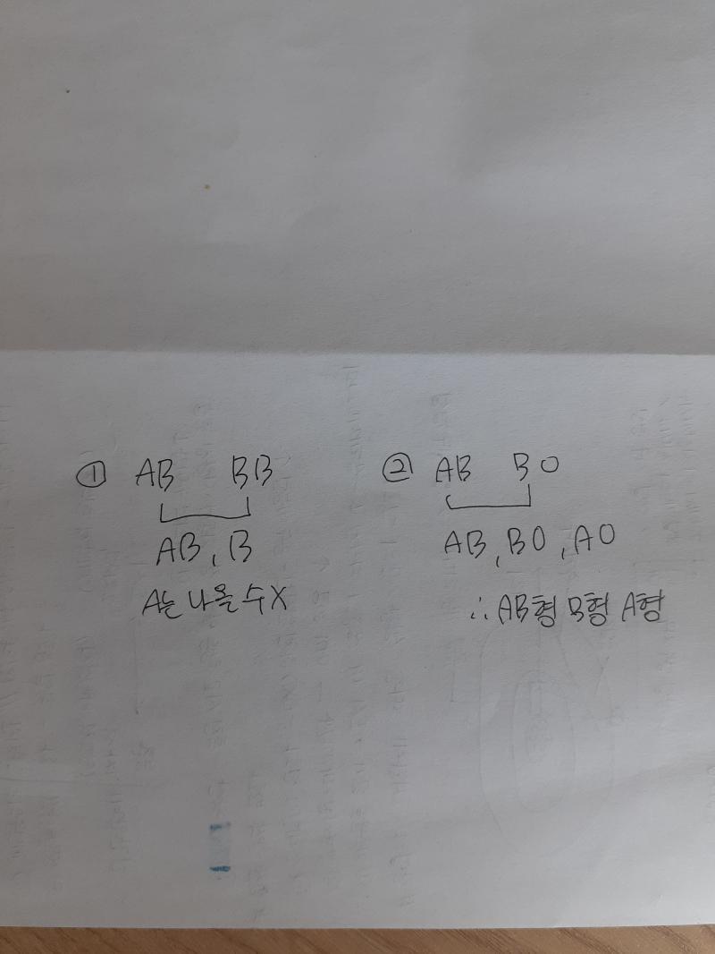 나올 수 잇음 유전자가 뭐 한명 낳으면 사라지는 것도 아니고ㅋㅋ