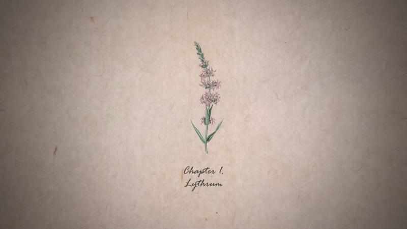 Chapter 1. Lythrum (부처꽃) 내일밤 공개됩니다.