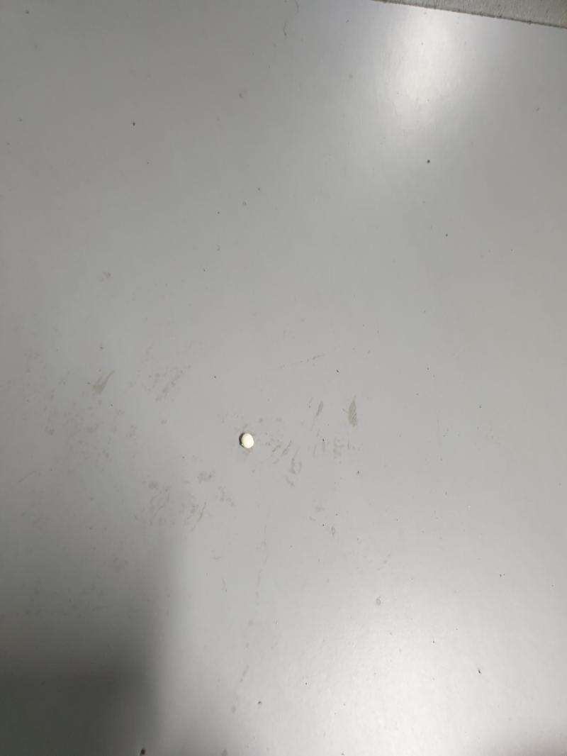 그와중에 내 소중한 메추리알 한 알 떨어뜨림... 정말 되는게 없구만...