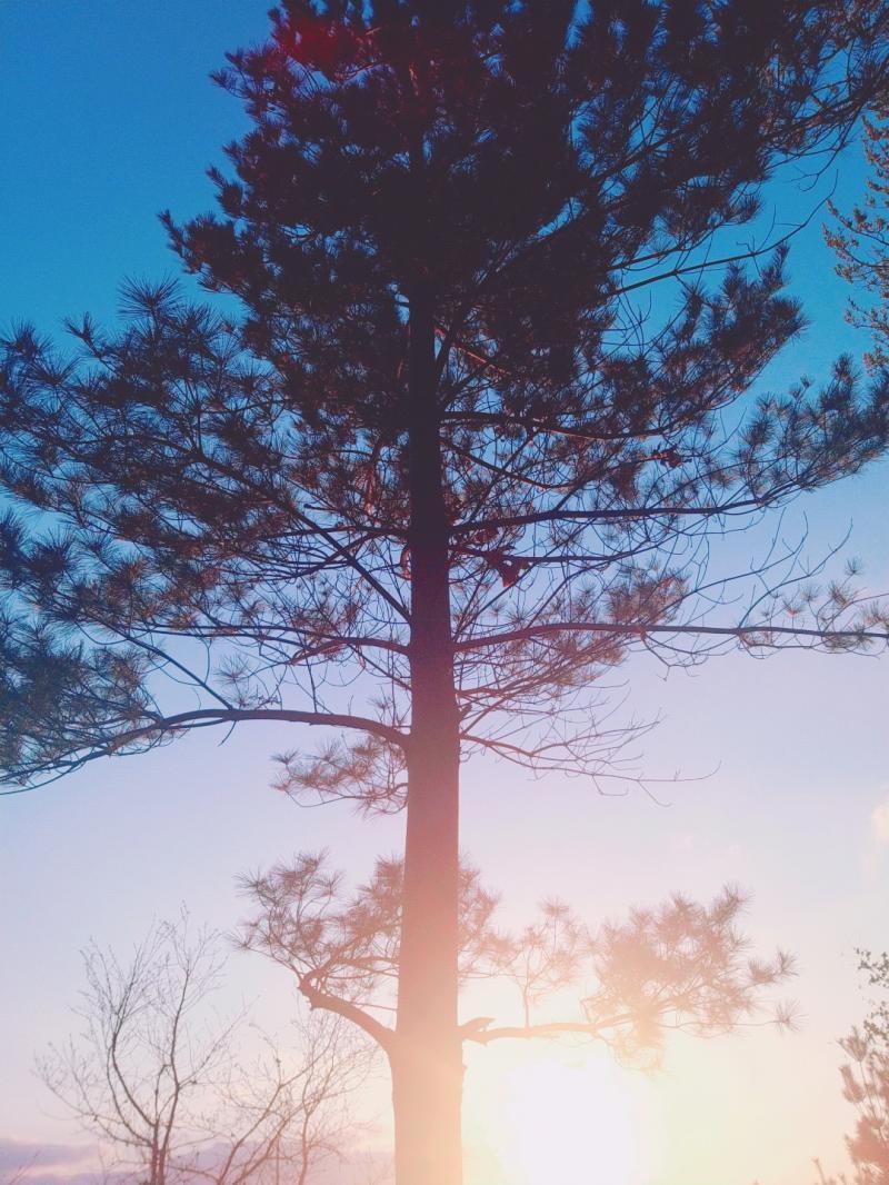 요즘 하늘 진짜 이뻐서 사진 많이 찍어뒀다.. 이런 하늘 코로나 가면 못볼수도 있잖아