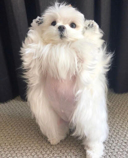 >>3