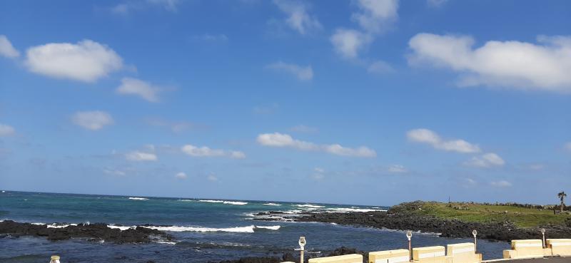 제주도 바다