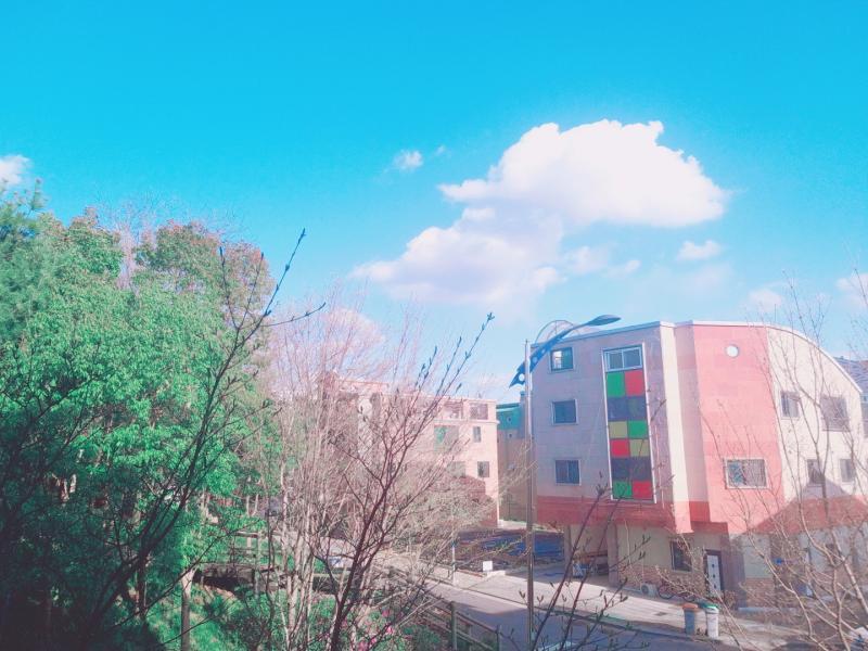 요즘 하늘 진짜 이뻐서 사진 많이 찍어뒀다.. 이런 하늘 코로나 가면 못볼수도 있잖아