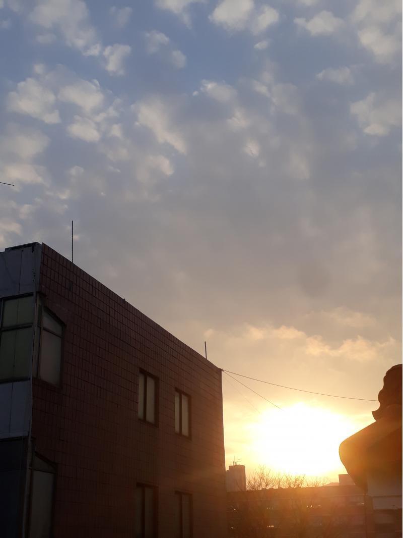 추가로 몇개더