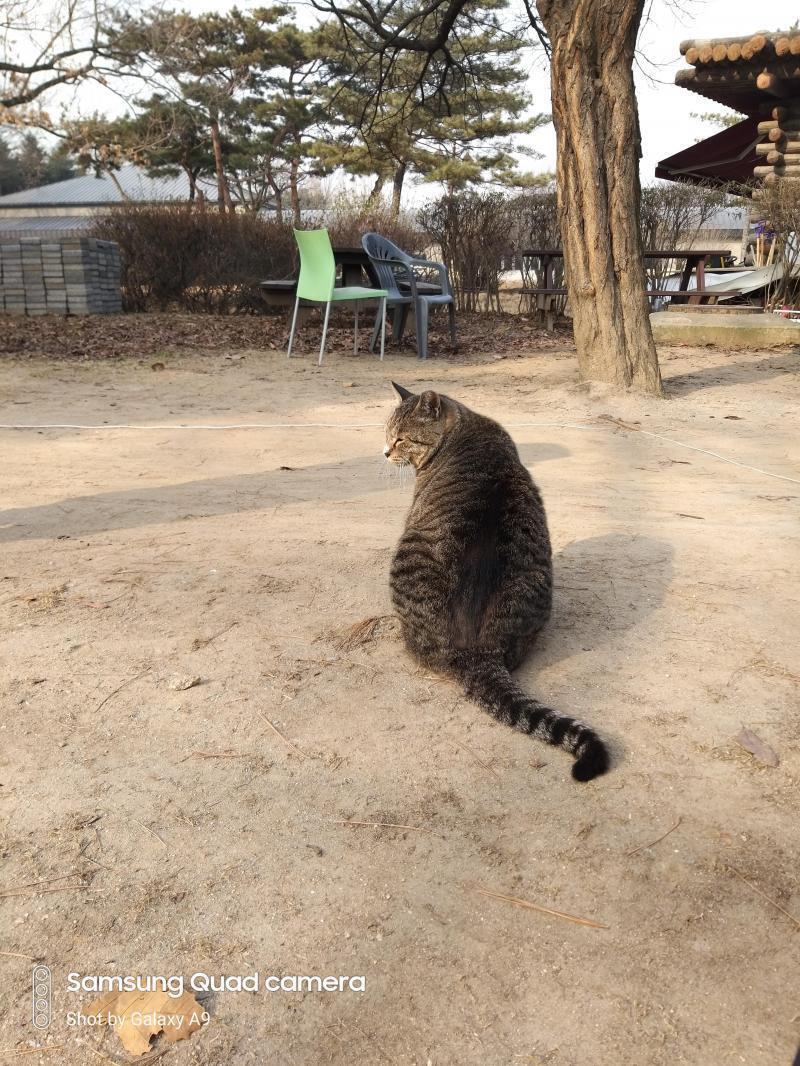유적지에서 만난 둔둔이랑 우리 아율이