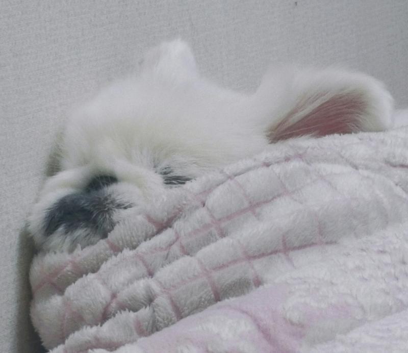 기욤이