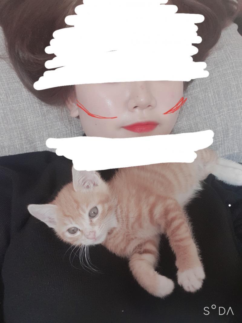 이거는 마사지해주시는 분이 말씀해주신건데 사진에 빨간선부분을 꾸준히 마사지해주면 사각턱이 줄어든다고 해주셨어!