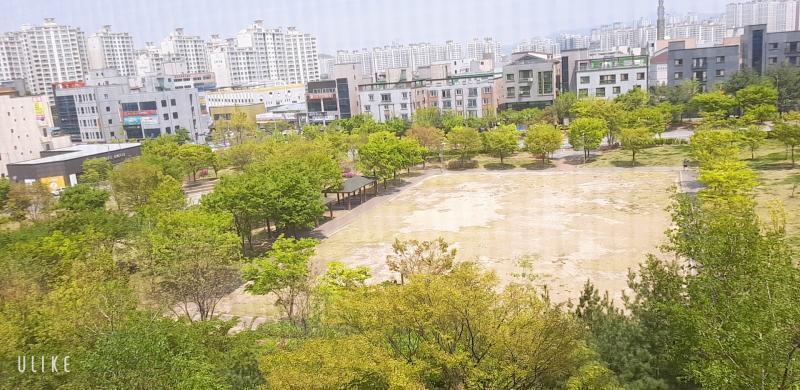 내 방 앞은 공원이다!! 봄에 꽃나무 핀것보다 지금처럼 푸릇푸릇 한게 젤 이뻐 새벽에도 되게 밝아 그것땜에 수능보는 날 늦은 줄 알고 깜놀