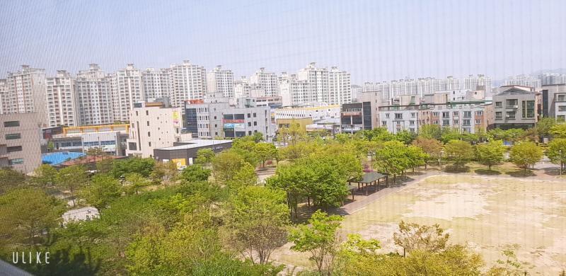 내 방 앞은 공원이다!! 봄에 꽃나무 핀것보다 지금처럼 푸릇푸릇 한게 젤 이뻐 새벽에도 되게 밝아 그것땜에 수능보는 날 늦은 줄 알고 깜놀