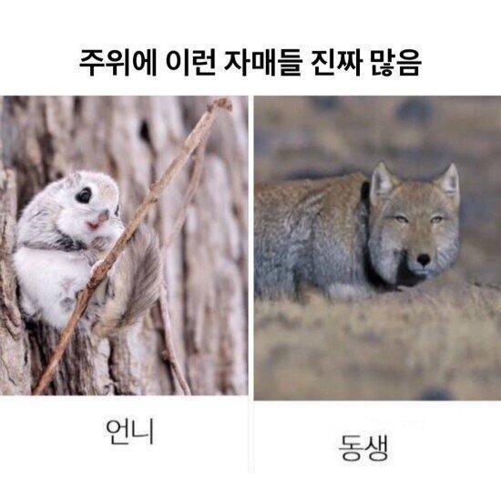 정말 이렇다..
