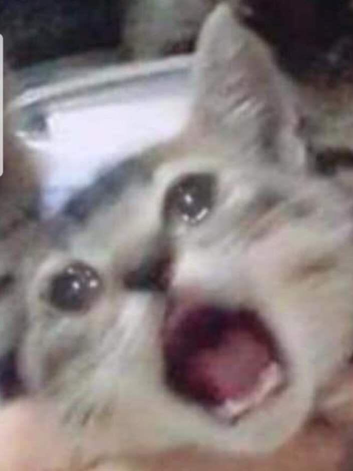 냐ㅏ아ㅏ아아ㅏ아아아아아아아악악악