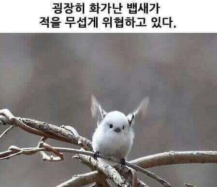 >>181 자신감을 가져 이 뱁새처럼!