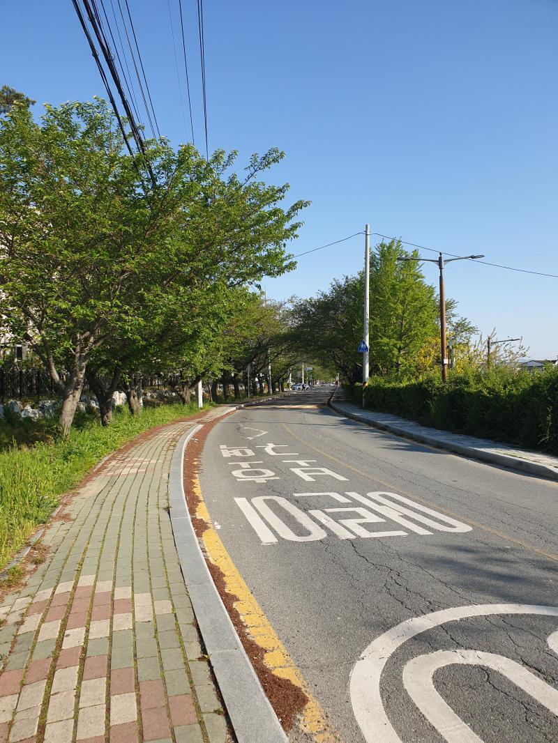 나무 터널