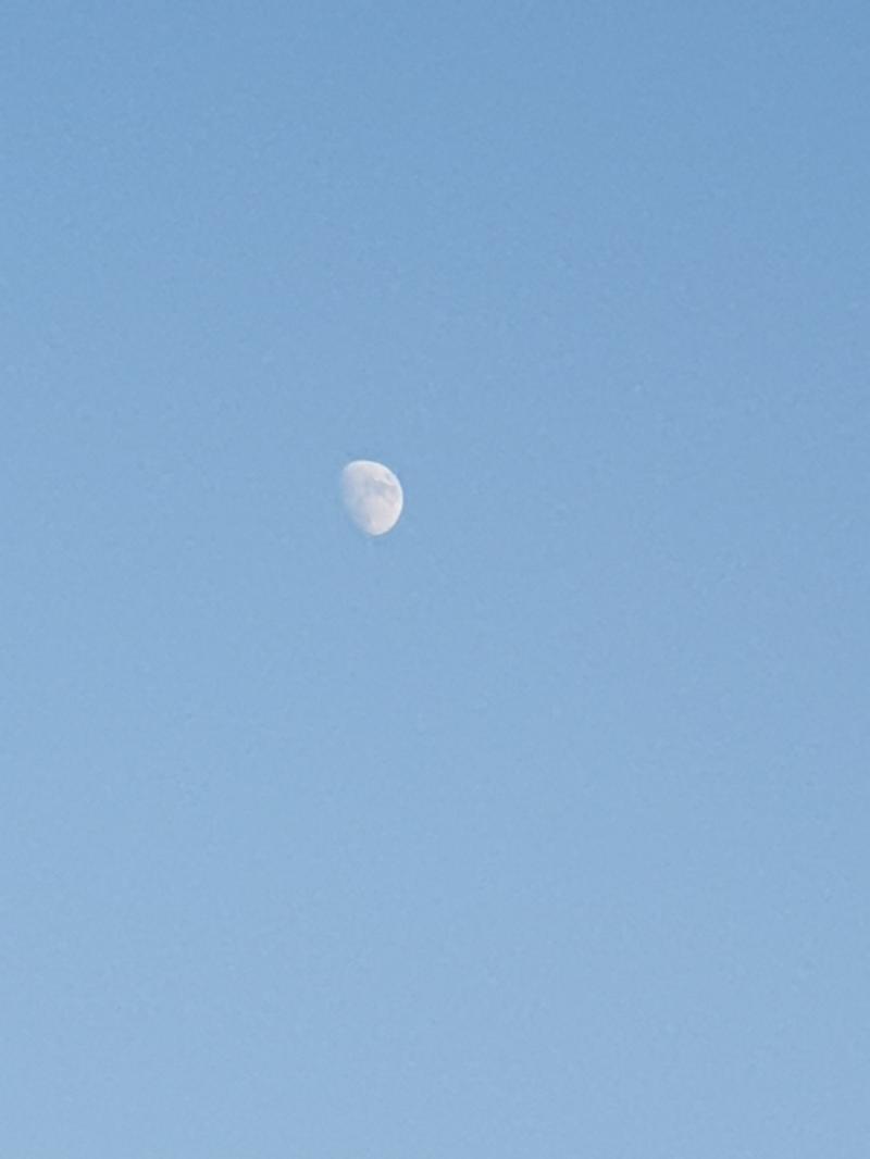 달