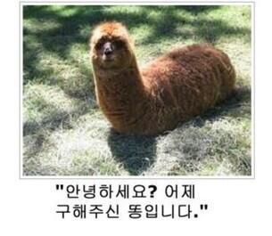 어제구해주신똥