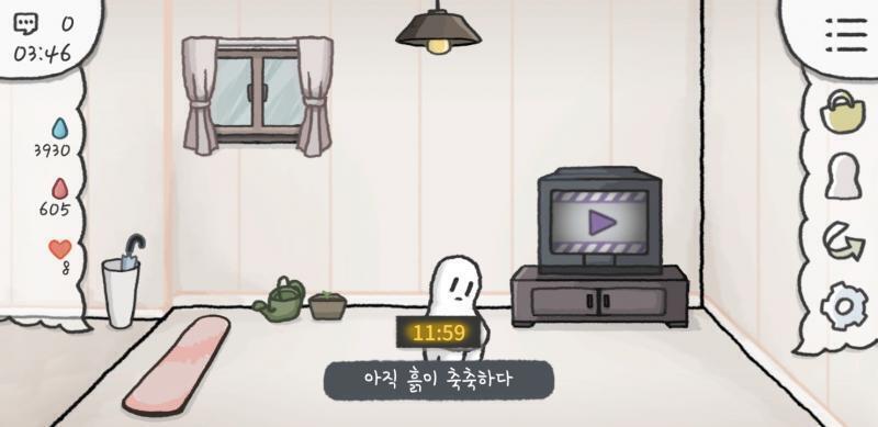 화분도 챙겨보자
