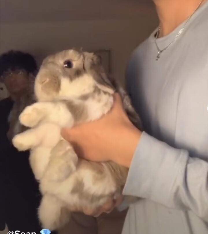 너무 귀여워 ㅠㅠㅠㅠ퓨 무슨 종류잉까 ㅠㅠㅠㅠ