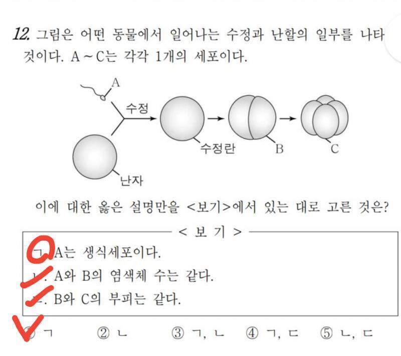 정답은 사진으로 추가함 아직 안 풀어본 사람은 펼쳐보지 마세용 이 문제를 푼 학생들의 코멘트: 1번부터 그래프가 나와서 풀기가 싫었는데, 갈 수