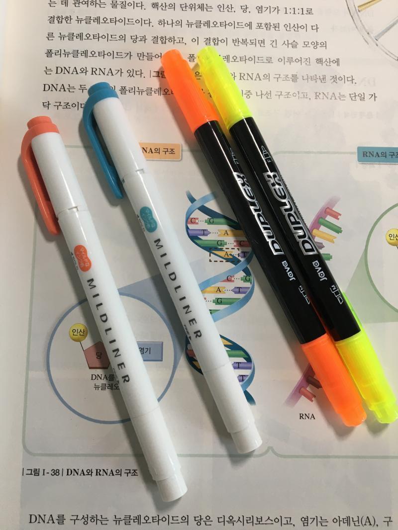 참고로 색은 이색이야