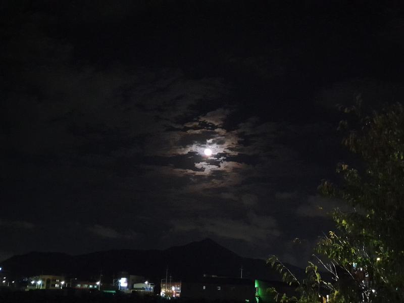 달