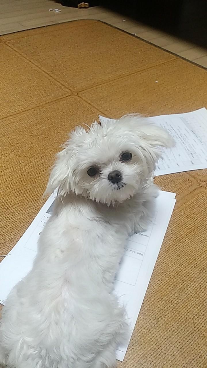 우리 쫑쫑이야!!!