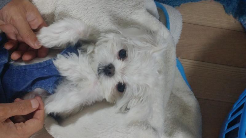우리 쫑쫑이야!!!