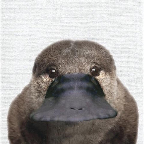 .