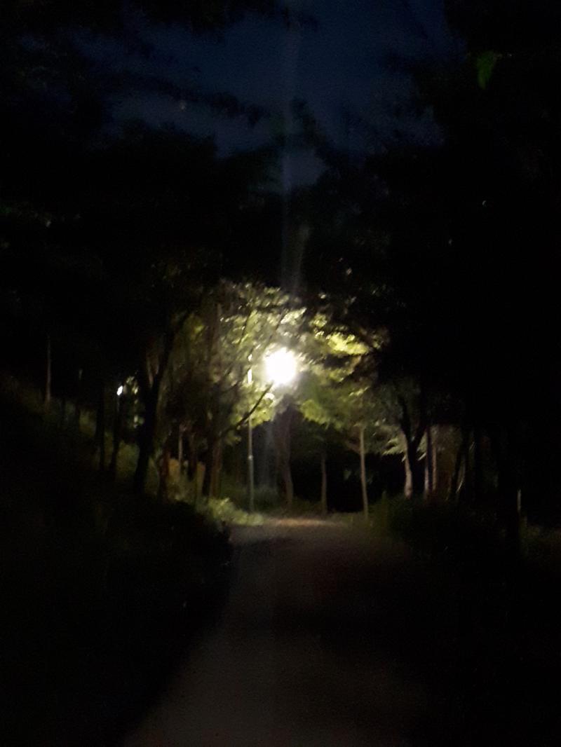 >>6 희희 칭찬 고마워