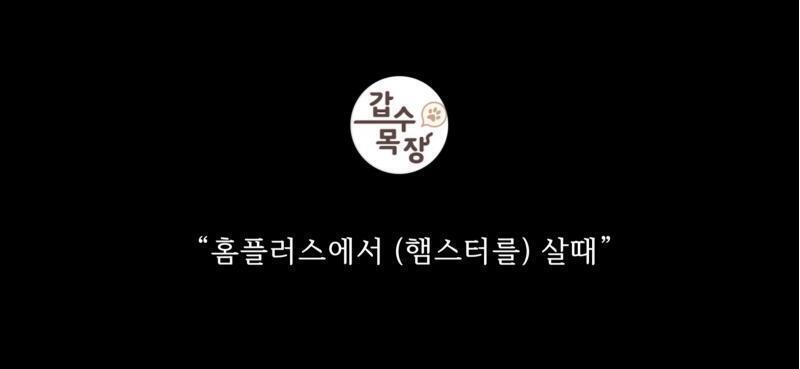 안 본 사람 있다면 사진이라도 봐주라... 영상에서는 다 육성인데, 자기는 편집이라는데 음성편집 해봤지만 저렇게 자연스럽게되는거 일반인은 불가능