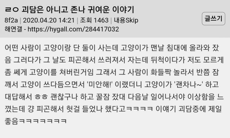 고먐미괴담