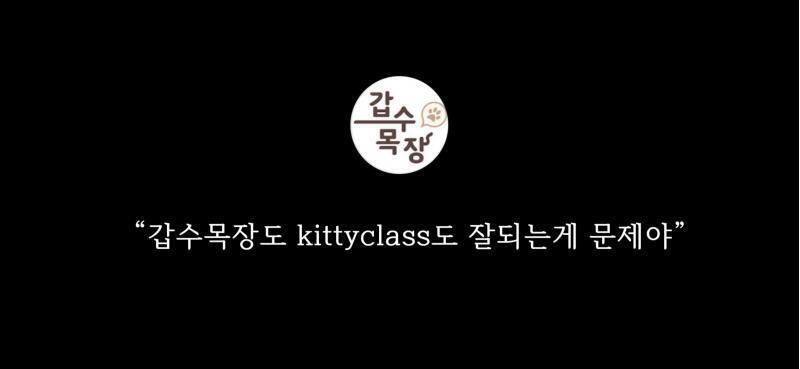 키티클래스 정리 1. '레이'라는 샵 고양이를 유기묘 구조한 척 함 2. '키티클래스'라는 유튜버에게 입양보냈다고 영상 올림 3. '키티클래스'