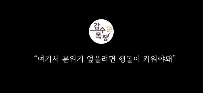 돌았어 걍...