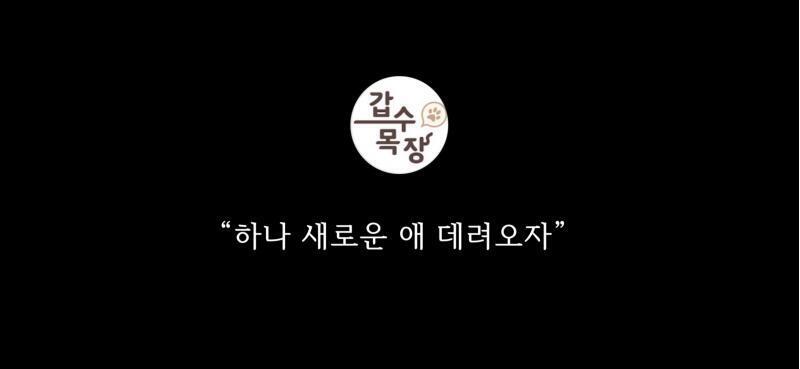 돌았어 걍...