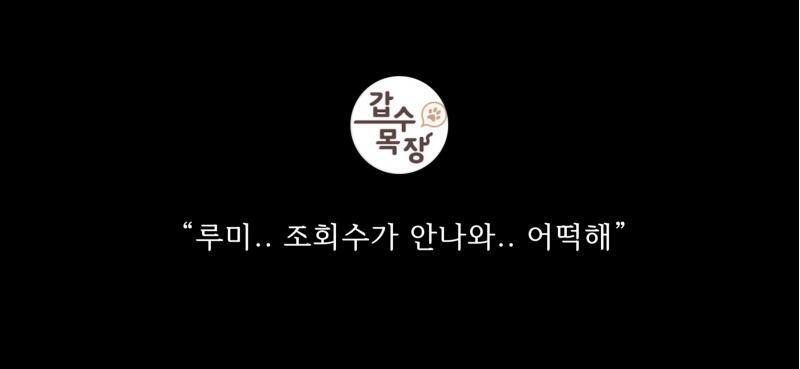 돌았어 걍...