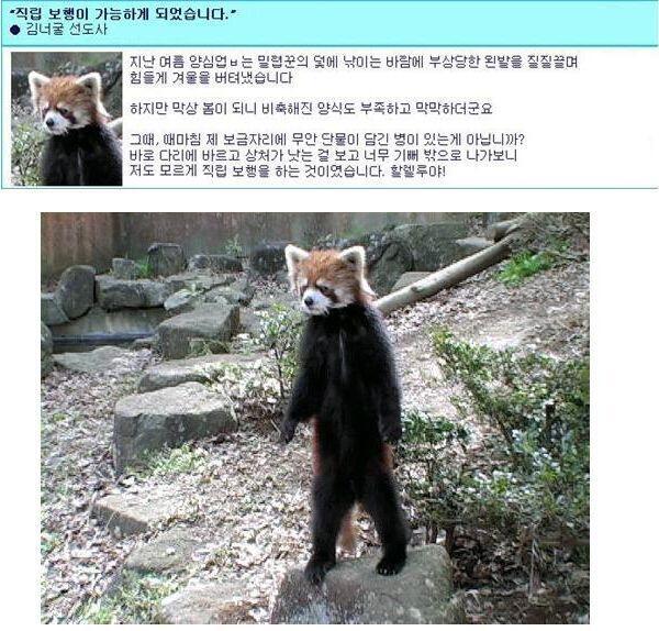 무안단물은 어떰?