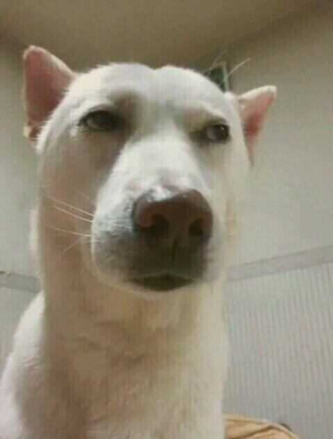 (눈치보고) ..빵