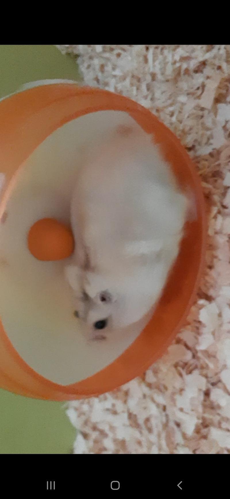 똥꼬발랄함 이해 부탁해!!나도 잘 나온 사진 가지고 싶다!!!!