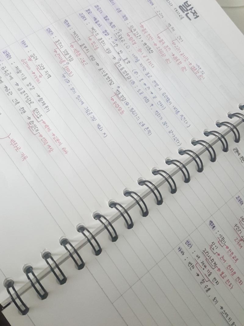 ...내 초6때 글씨 부셔버리고 싶네...